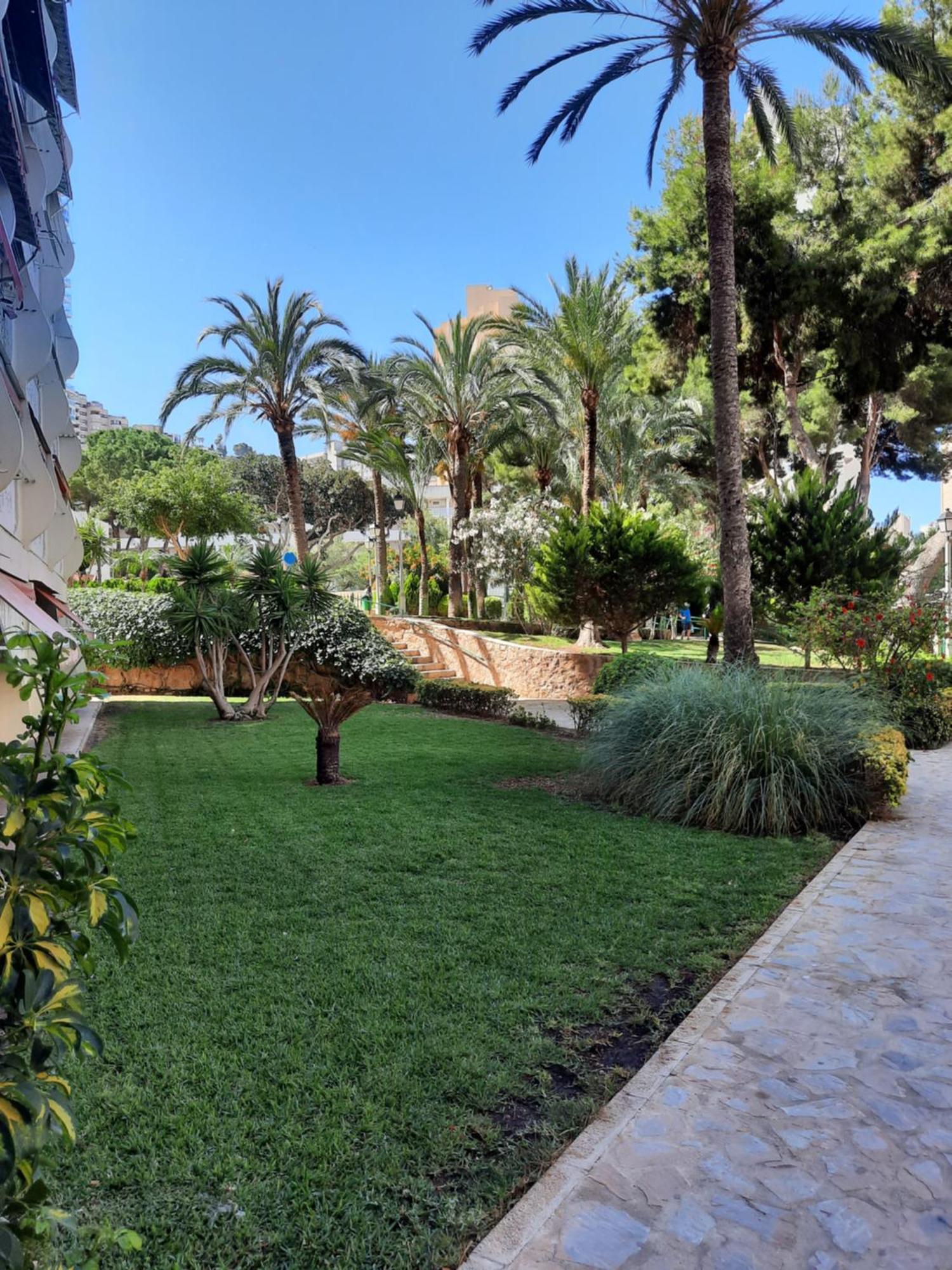 בנידורם Playmon Holiday Apartment מראה חיצוני תמונה
